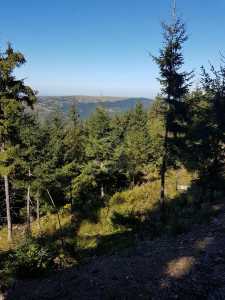 Terrain de vente, TECJ240864FLO-4