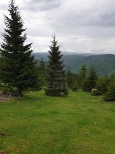 Terrain de vente, TECJ240864FLO-18