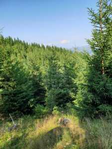 Terrain de vente, TECJ240864FLO-14