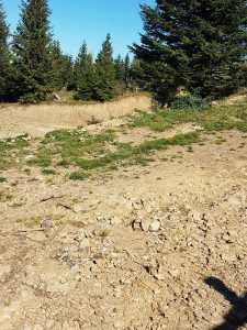 Terrain de vente, TECJ240864FLO-12