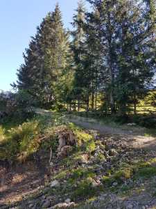 Terrain de vente, TECJ240864FLO-2