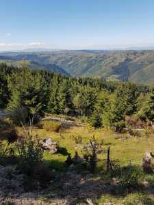 Terrain de vente, TECJ240864FLO-10