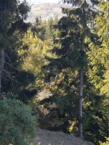 Terrain de vente, TECJ240864FLO-5