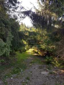 Terrain de vente, TECJ240864FLO-6