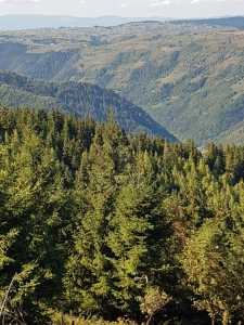 Terrain de vente, TECJ240864FLO-9