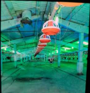 Salle de louer un chambre, HACJ241972FLO-3