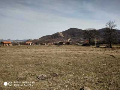 Terrain de vente, TECJ241904FLO-2