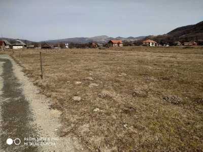 Terrain de vente, TECJ241904FLO-6