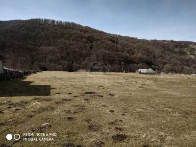 Terrain de vente, TECJ241904FLO-1