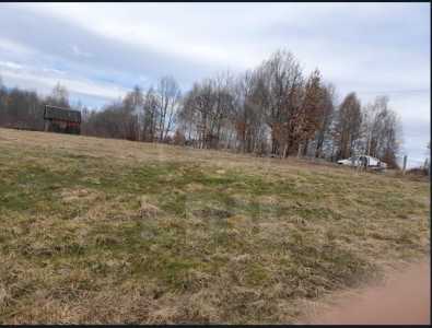 Terrain de vente, TECJ242053FLO