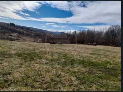 Terrain de vente, TECJ242053FLO-7