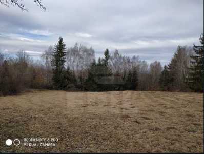 Terrain de vente, TECJ242044FLO-5