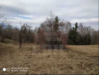 Terrain de vente, TECJ242044FLO-14