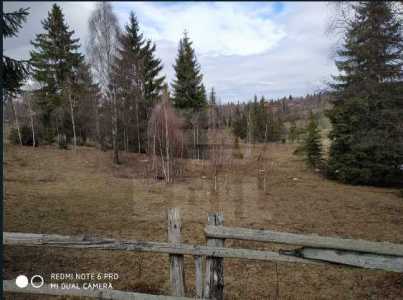 Terrain de vente, TECJ242046FLO-7