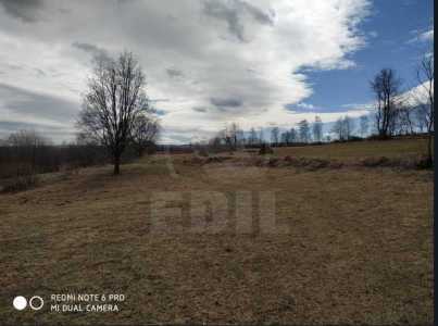 Terrain de vente, TECJ242048FLO-6