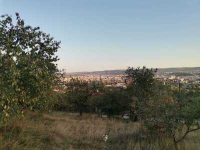 Terrain de vente, TECJ329350-3