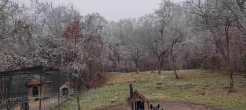 Terrain de vente, TECJ340196-4