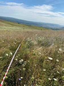 Terrain de vente, TECJ244796FLO-8