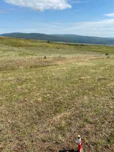 Terrain de vente, TECJ244796FLO-6