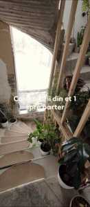 Maison de vente 8 chambres, CACJ341100-11