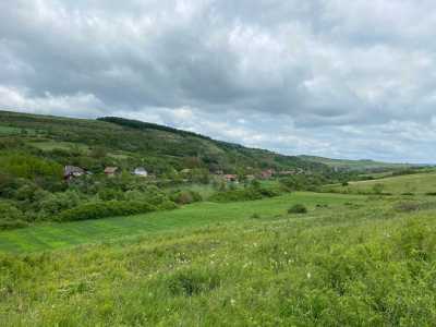 Terrain de vente, TECJ341308-6