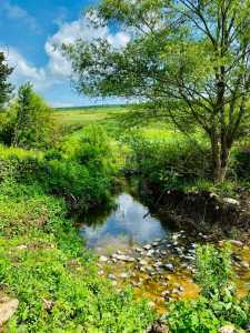 Terrain de vente, TECJ341308-3