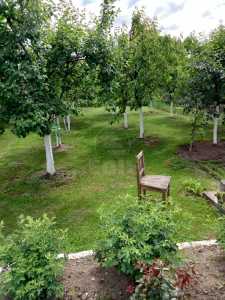 Maison de vente 3 chambres, CACJ342724-2