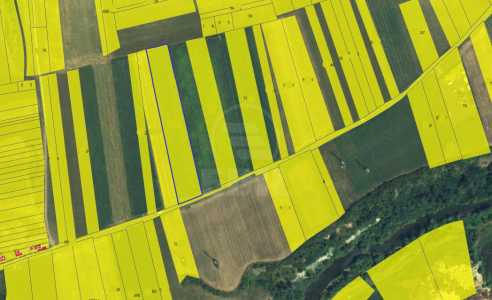 Terrain de vente, TECJ245282FLO