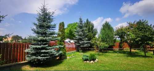 Maison de vente 4 chambres, CACJ245617FLO-3