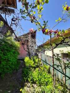 Maison de vente 2 chambres, CACJ346014-6