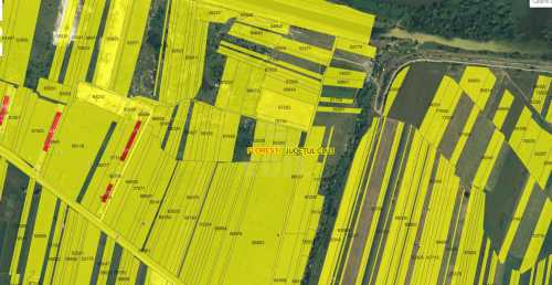 Terrain de vente, TECJ246009FLO-1