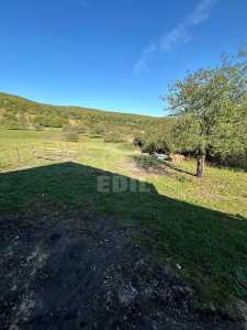 Terrain de vente, TECJ246105FLO-1