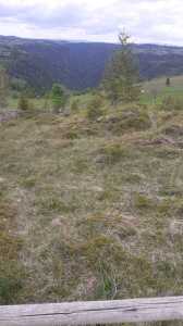 Terrain de vente, TECJ246415FLO-13