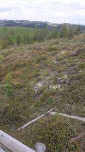 Terrain de vente, TECJ246415FLO-14