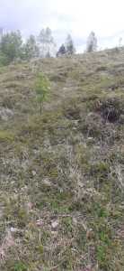 Terrain de vente, TECJ246415FLO-15