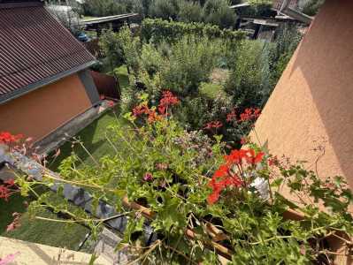 Maison de vente 7 chambres, CACJ246694FLO-17