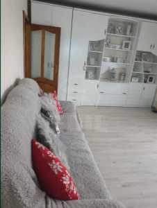 Appartement de vente 3 chambres, APCJ354295-8