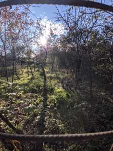 Maison de vente 2 chambres, CACJ355249-10