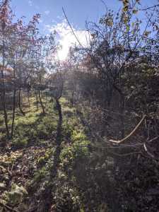 Maison de vente 2 chambres, CACJ355249-11