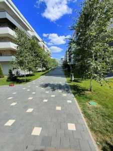 Appartement de louer 2 chambres, APCJ354768-17