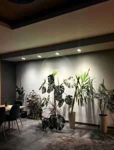 Appartement de louer 3 chambres, APCJ355011-5