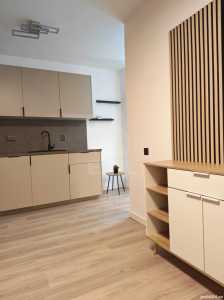 Appartement de louer 2 chambres, APCJ356238-4