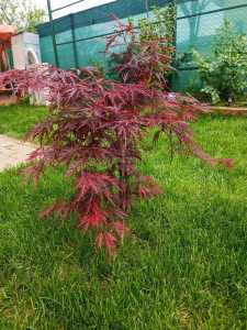 Maison de vente 4 chambres, CACJ247037FLO-12