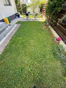 Appartement de louer 3 chambres, APCJ358187-19